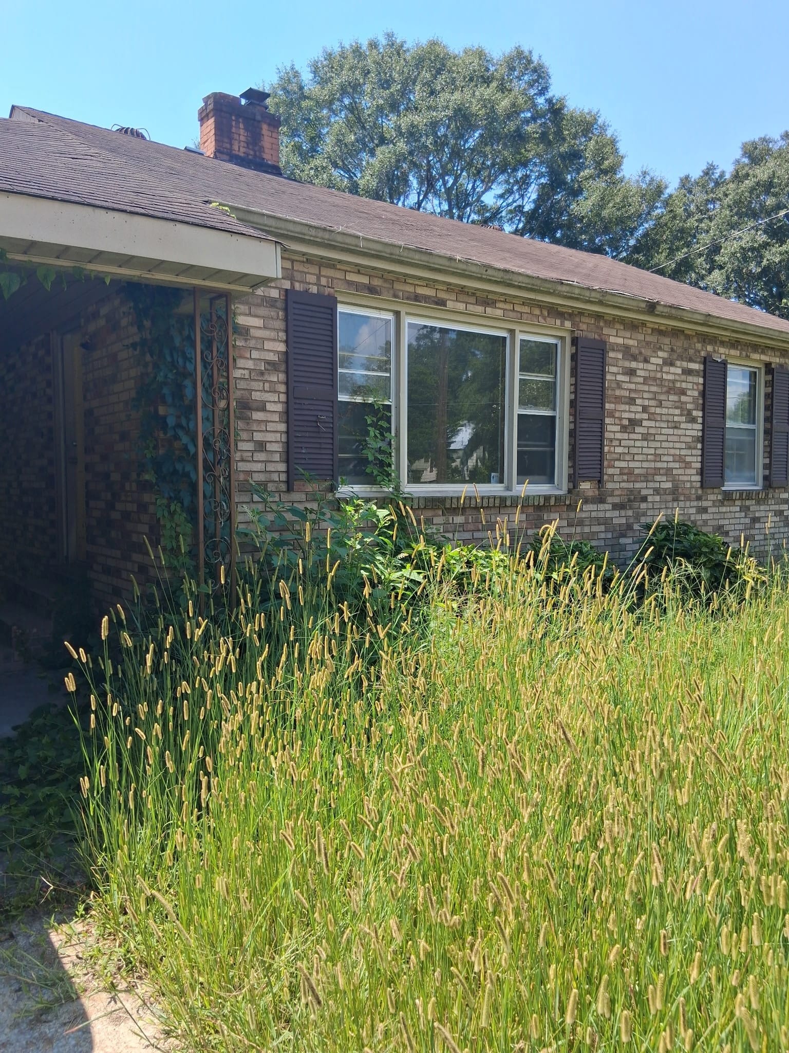 Brick house with an overgrown front yard before improvements